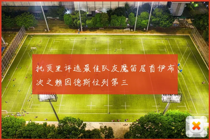 托莫里评选最佳队友魔笛居首伊布次之赖因德斯位列第三